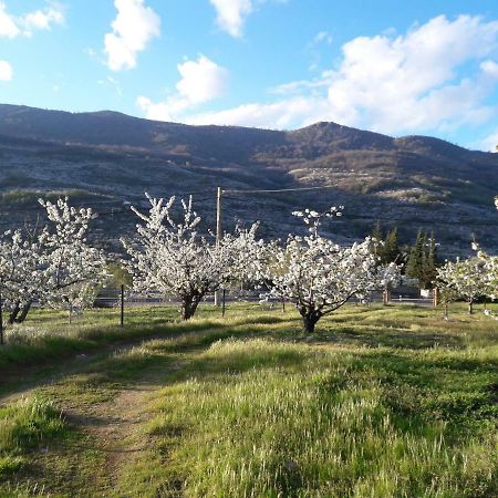 La Casita Del Jerte Appartement Cabezuela Del Valle Buitenkant foto